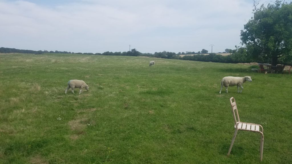 Les moutons de Polymorph